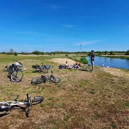 Family Camp Ryczywół - Natura Relaks Spokój Dom wakacyjny *