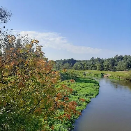 Family Camp Ryczywół - Natura Relaks Spokój Ryczywol (Masovia)