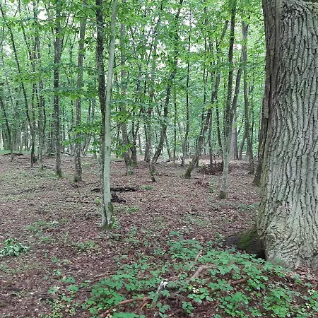 Family Camp Ryczywół - Natura Relaks Spokój Dom wakacyjny Ryczywol (Masovia)